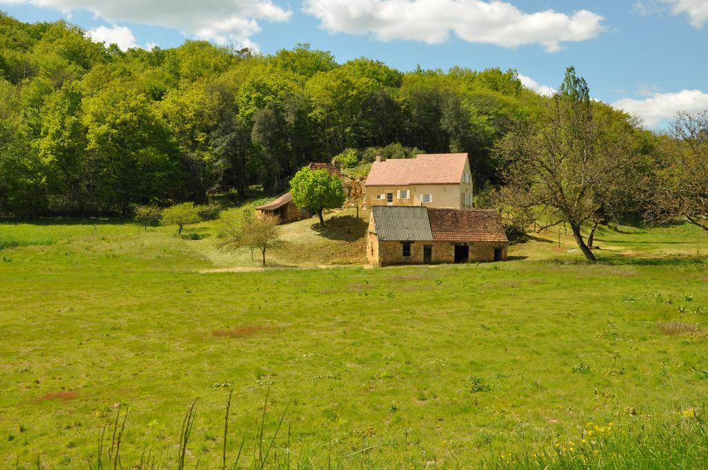 Gite Chez Le Gaulois Carsac-Aillac Exterior foto
